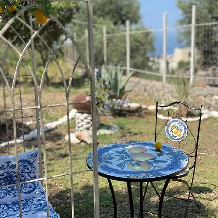 Casa Boha Garden