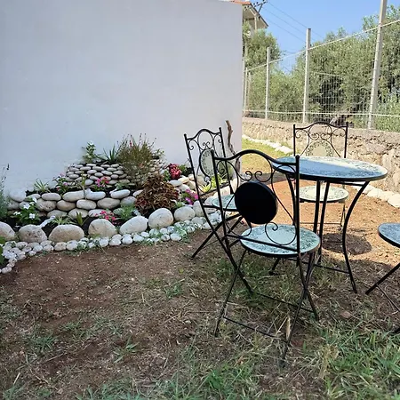 게스트하우스 Casa Boha Garden