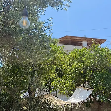 Casa Boha Garden بيت ضيافة *